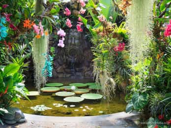 Ischia: La Mortella Gardens Trip with Optional Lunch