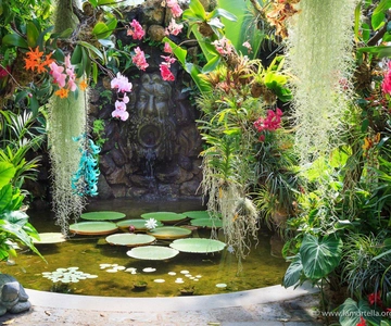 Ischia: La Mortella Gardens Trip with Optional Lunch