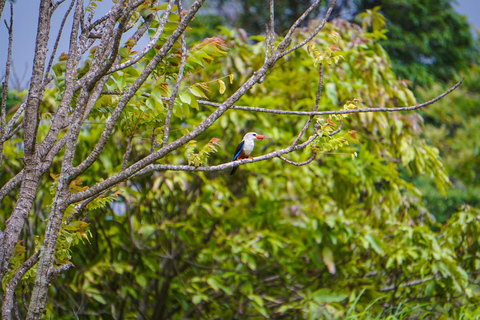 Inseltour mit deutschsprachiger Reiseleitung für Kreuzgäste.