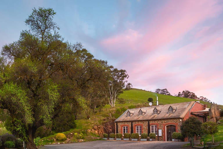 McLaren Vale South: Hop-On Hop-Off Bus Tour South McLaren Vale Tour with City Pickup at 10:00 AM