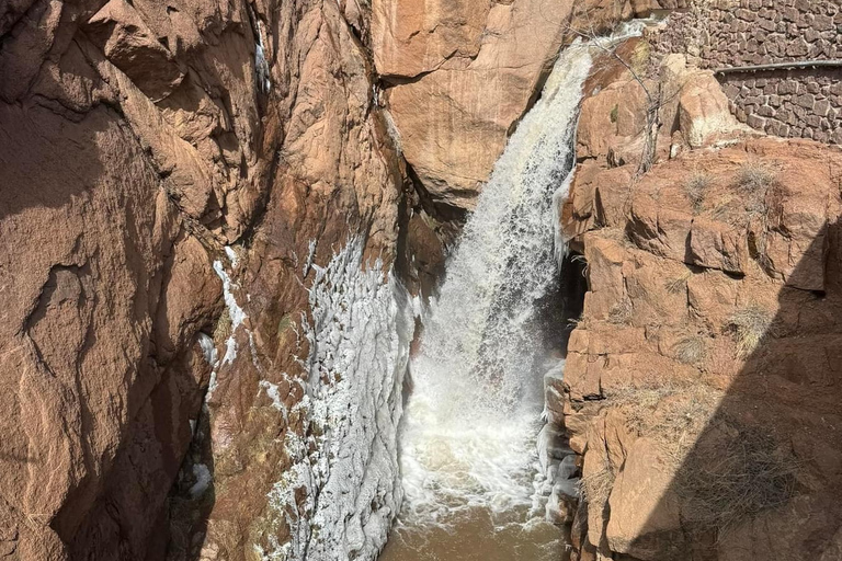 Colorado Springs: Garden of the Gods & Historic Town Tour