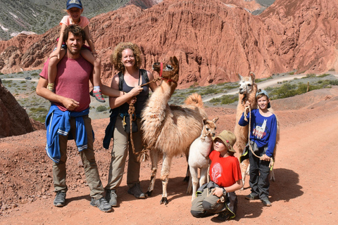 Purmamarca: Hiking with Llamas through multicolored mountains