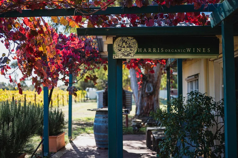 Swan Valley: Perth's Only Organic Wine Tasting and Tour