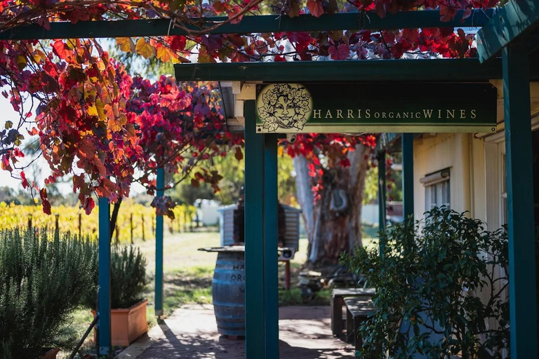 Swan Valley: Perth's Only Organic Wine Tasting and Tour