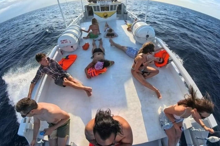 Labuan Bajo: 4-daagse Komodo-zwemmen met haaien en Komodo