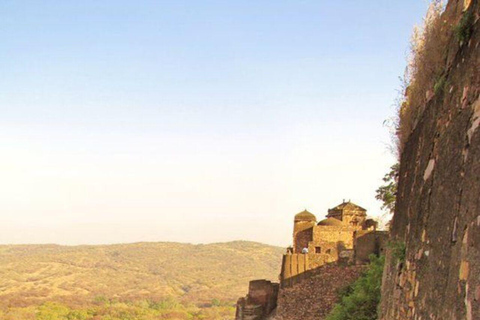 From Delhi: 16-Day Rajasthan Tour with Tiger Safari