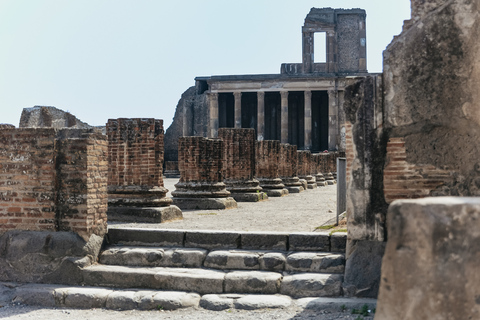 From Rome: Pompeii and Mount Vesuvius Day Trip with LunchPompei &amp; Vesuvius Area Walk with Geologist