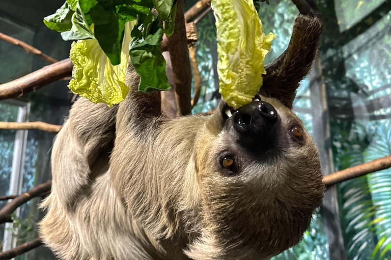 Toronto: Toronto Zoo Entry Ticket