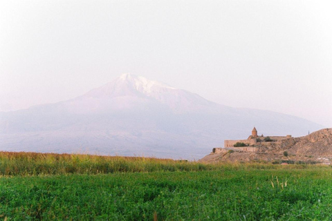 From Yerevan: Khor Virap & Echmiadzin Private EV Tour