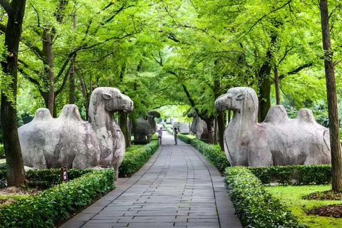 Nanjing: Presidential Palace & Ming Xiaoling Site Ticket Ming Xiaoling Site Ticket