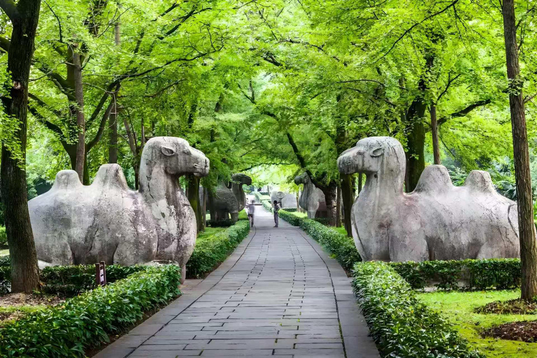 Nanjing: Presidential Palace & Ming Xiaoling Site Ticket Ming Xiaoling Site Ticket