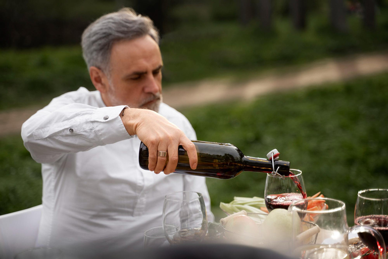 Barcelona: Tarragona Tour & Organic Wine Tasting