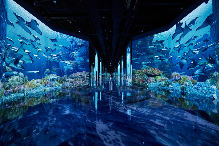 Paju: Museum HEI Immersive Media Art Exhibition Entry Ticket