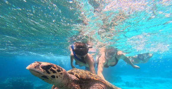Pemuteran: Menjangan Island Snorkeling with Lunch & Pickup