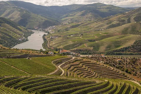 Lujosa excursión de un día de Lisboa al valle del Duero con paradas opcionales