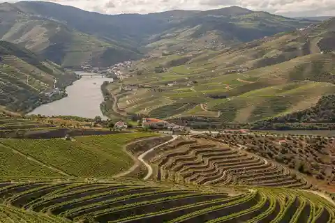 Luxurious Daytrip Lisbon to Douro Valley with Optional Stops