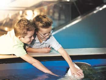Tampa: Florida Aquarium - Einlass ohne Anstehen Tampa: Florida Aquarium - Einlass ohne Anstehen