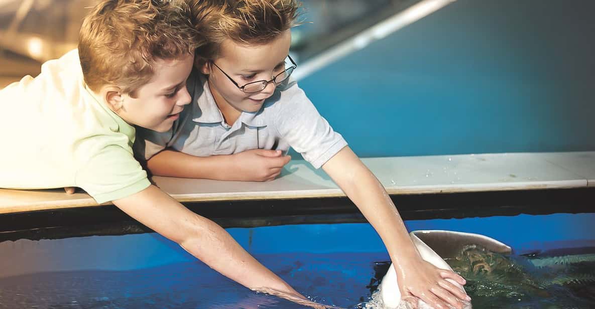 Tampa: The Florida Aquarium Skip-the-Line Entrance