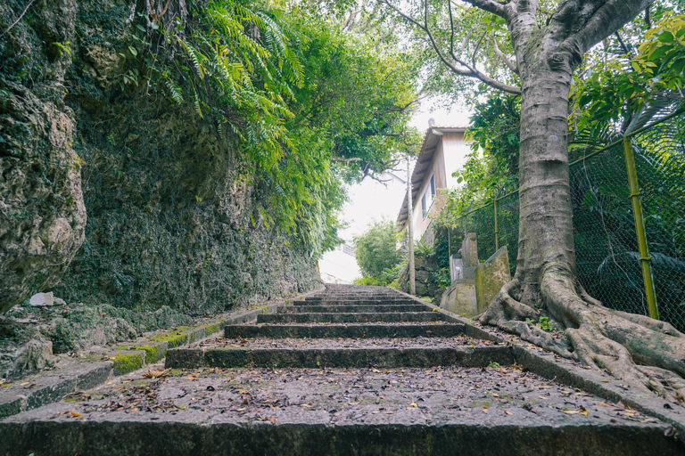 Naha: Okinawa Shuri Castle Peace Walking Tour