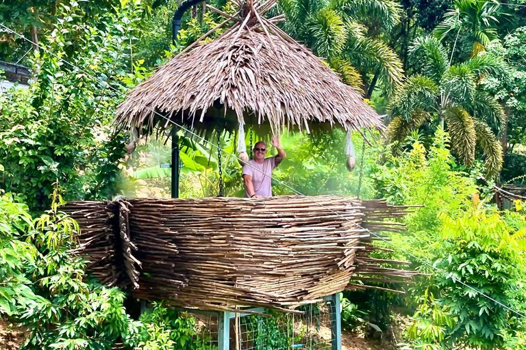 Samui Zipline FLY & Fun Tree Bridge Jungle Cafe & Waterfall