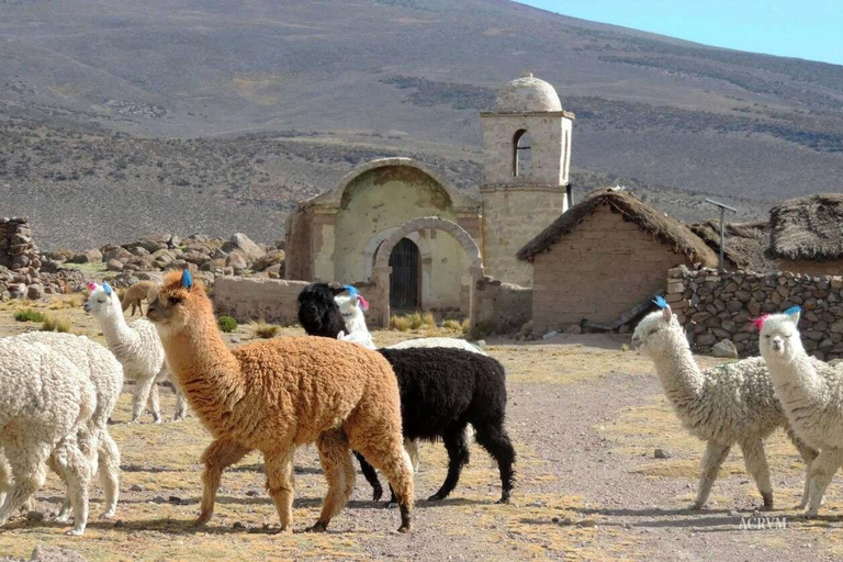 From Tacna: Conchachiri Falls and Calachaca Hot Springs Full-Day From Tacna: Conchachiri Falls and Calachaca Hot Springs Full-Day Tour