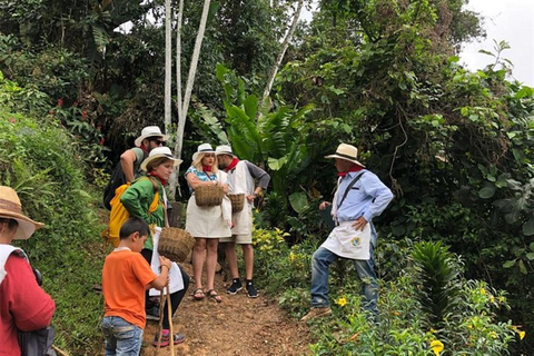 Depuis Medellin : Circuit de 3 jours sur la route du café colonial