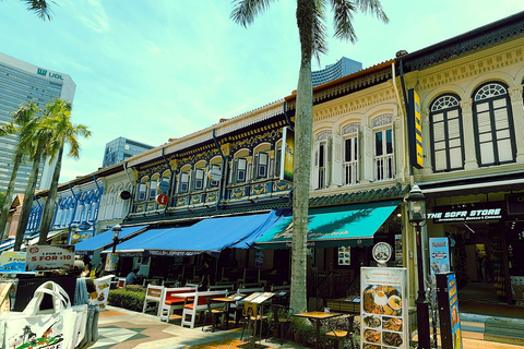 Singapore: Unravel Hidden Gems in a Private Customized Tour Private Customized Tour - 2 hours