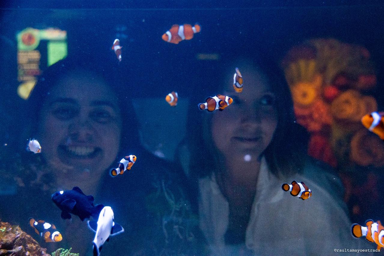 Río de Janeiro: ticket de entrada a AquaRio