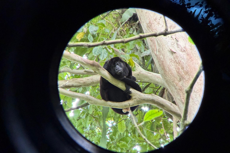 From San José: La Fortuna Sloths & Hot Springs Tour