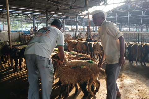 Bombay: Visita guiada al Matadero de Deonar