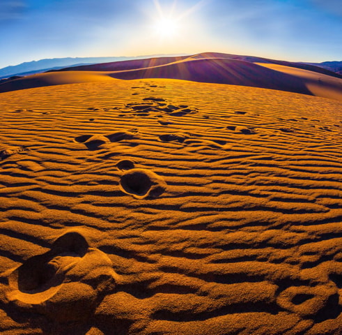 From Doha: Sunrise or Sunset Safari with Sand Boarding