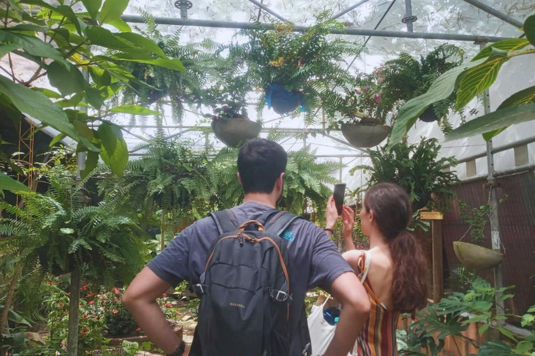 Wycieczka po mieście Minca: historia, muzea i przyrodaWycieczka po miejscowości Minca: historia, muzea i przyroda