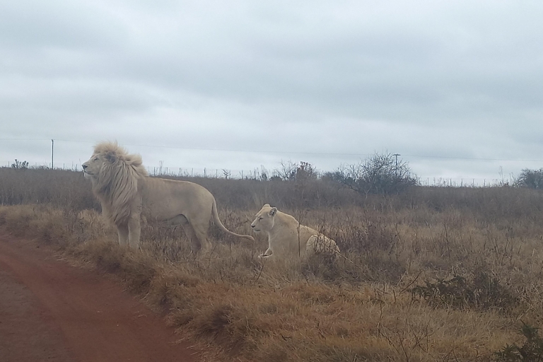 From Johannesburg: 3 Day Kruger National Park Safari