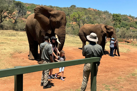 Johannesburg : Safari à l&#039;éléphant, à cheval et au lion