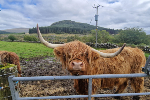 Greenock: Stirling Castle, Kelpies, & Luss Day Trip