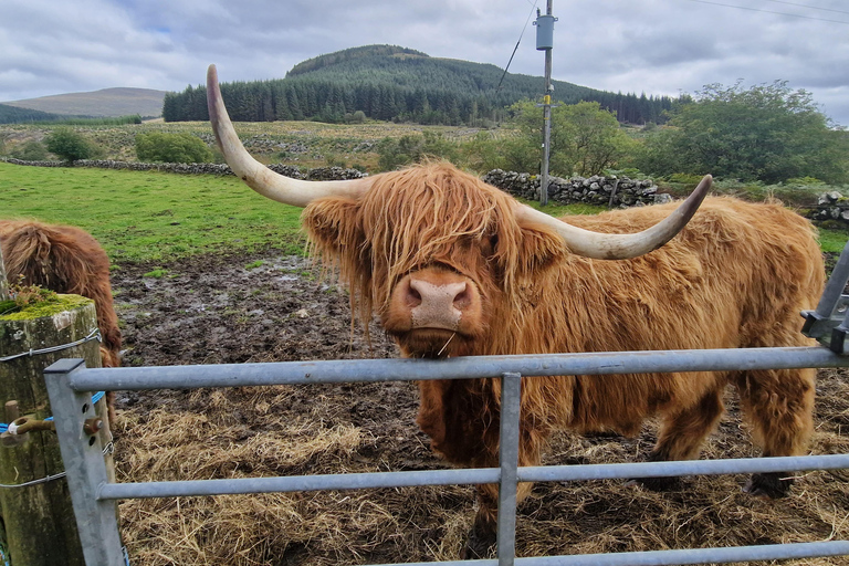 Greenock: Stirling Castle, Kelpies, & Luss Day Trip