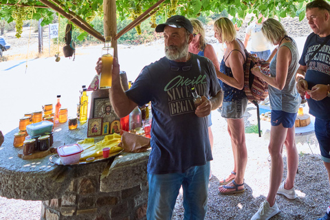 Private 4-5-Hour Tour and explore the hidden Gems of Rhodes Private 4-Hour Tour and explore the hidden Gems of Rhodes