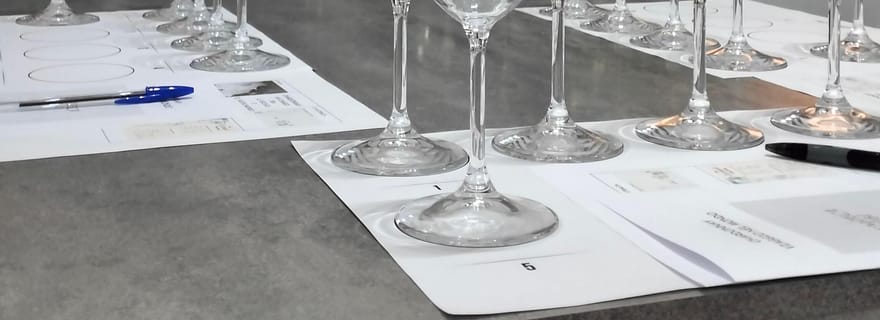 Dégustation de vins blancs locaux