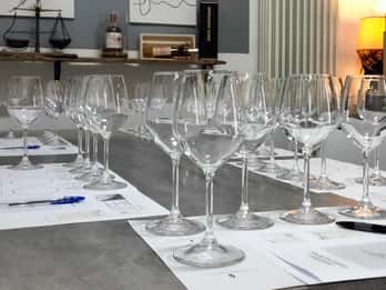 Tasting of local white wines