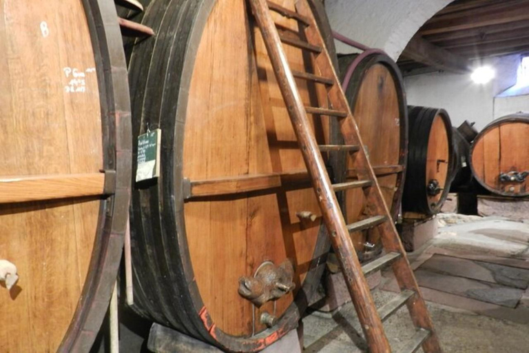 Ícones Vilarejos típicos e castelo de Haut KoenigsbourgAldeias típicas icônicas e castelo de Haut Koenigsbourg