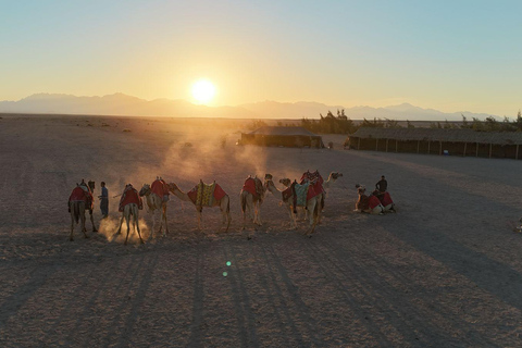 Hurghada: Jeep Safari, piantumazione di alberi e pranzo "dalla fattoria alla tavola"Hurghada: safari in jeep, piantumazione di alberi e pranzo "dalla fattoria alla tavola"