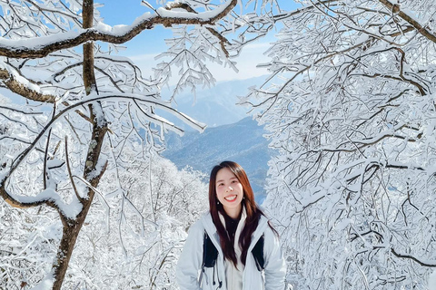 Depuis Séoul : Randonnée au lever du soleil de Taebaeksan sur les fleurs de neige et K-food