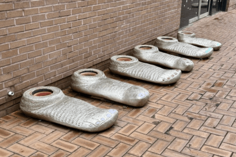 Jeju: Eastern Spring Canola & UNESCO Tour & Herb Garden