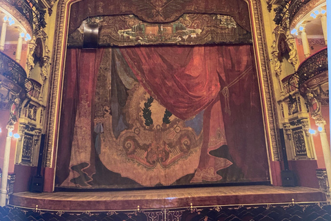 Private Tour in Manaus: Science Forest and Amazonas Theater