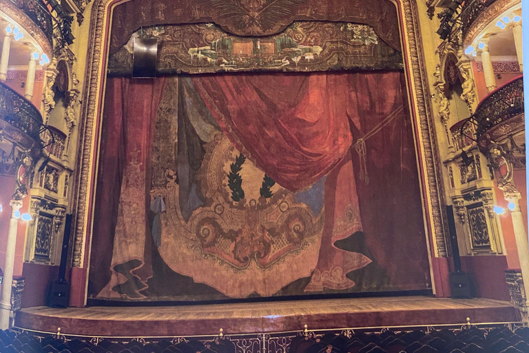 Private Tour in Manaus: Science Forest and Amazonas Theater