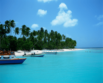 Tobago: Glasbodenboot & Highlights Tour | GetYourGuide