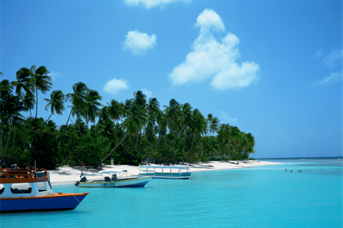 Tobago: Glass Bottom Boat & Highlights Tour