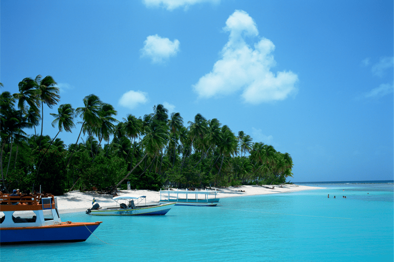 Tobago: Glass Bottom Boat & Highlights Tour