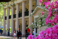 New Orleans, Oak Alley Plantation Tour con trasporto - Housity