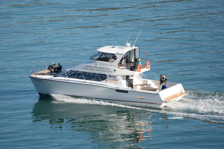 Christchurch: Akaroa Dolphin Cruise & French Heritage Tour